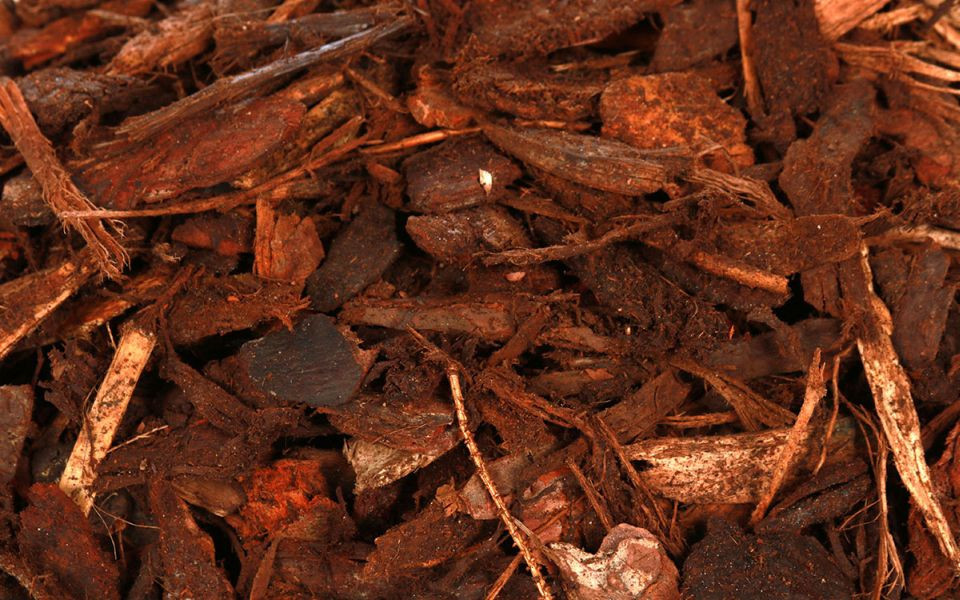 Afbeelding van Schors sylvester 9-15