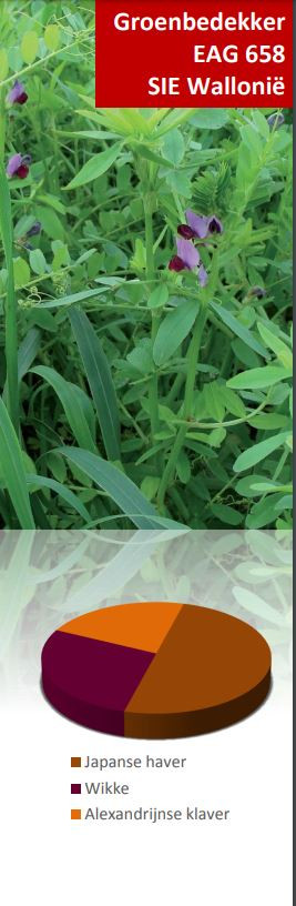 Afbeelding van Feed Cover Groenbemester - 21kg