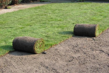 Afbeelding van Grasmatten op rol 1 m³