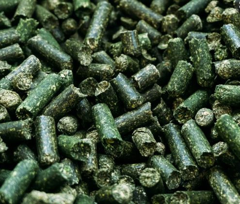 Afbeelding van Luzernekorrels - 25 kg