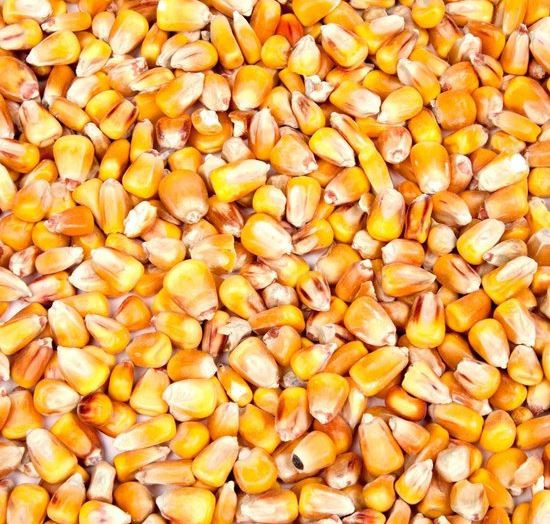 Afbeelding van Mais - heel - 20 kg