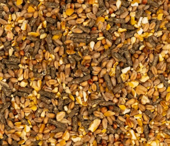 Afbeelding van Graanmix 20 kg