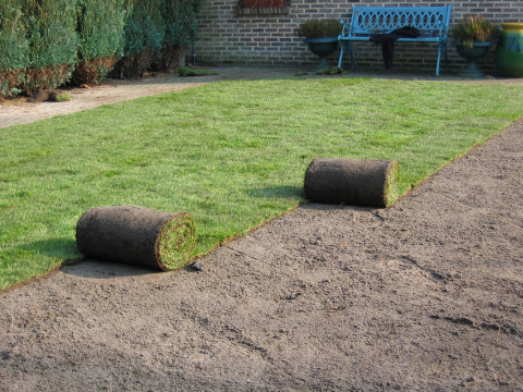 Categorie Graszaden  en grasmatten